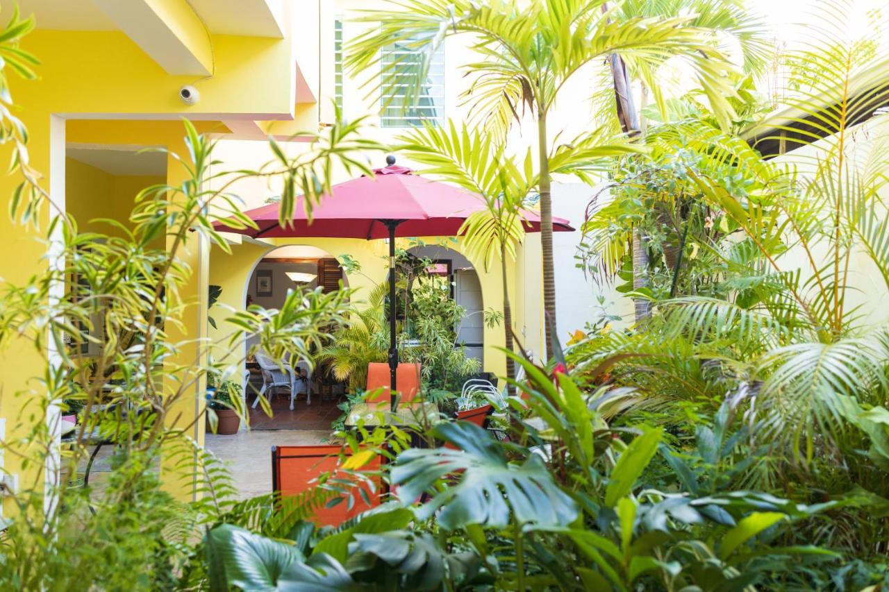 Andalucia Guest House San Juan Exterior photo