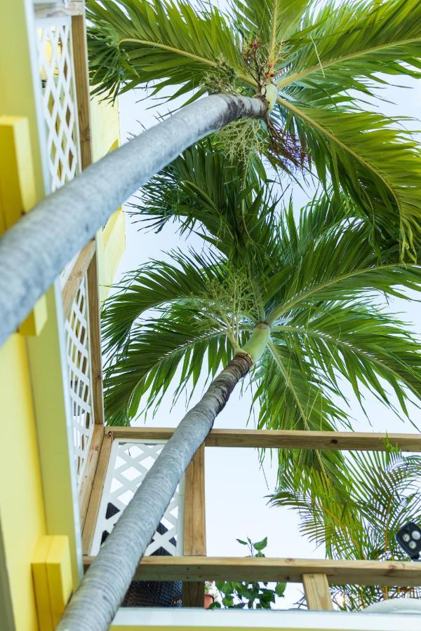 Andalucia Guest House San Juan Exterior photo